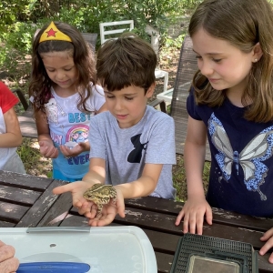 Photo of Learn Nature and Party Animals