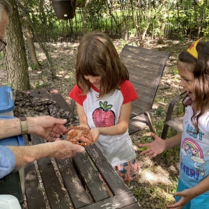 Photo of Learn Nature and Party Animals