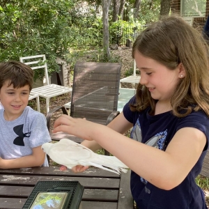 Photo of Learn Nature and Party Animals