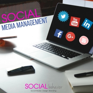 Photo of Social Behavior