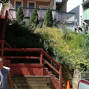 Photo of MB Landscaping & Gardening Services