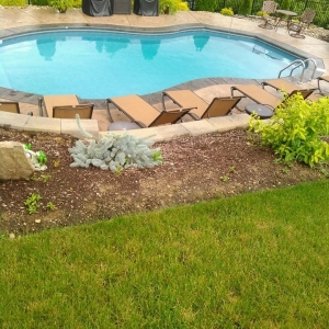 Photo of MB Landscaping & Gardening Services