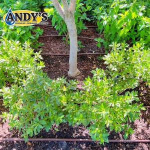 Photo of Andy's Sprinkler, Drainage & Lighting