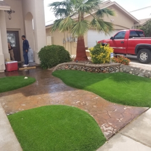 Photo of DD Turf Artificial Grass