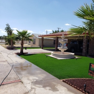 Photo of DD Turf Artificial Grass