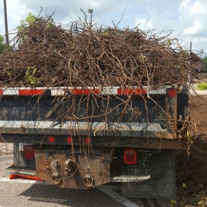Photo of Ranger Property Services