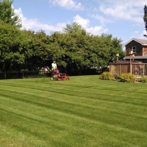 Photo of Ranger Property Services
