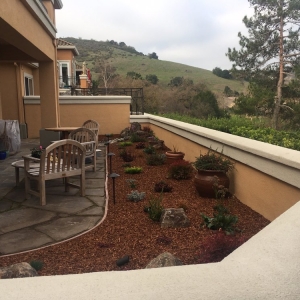San Jose Dooling Landscape Service