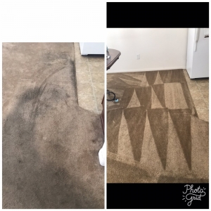 Photo of American Carpet Cleaning