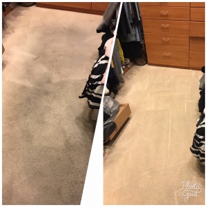 Photo of American Carpet Cleaning
