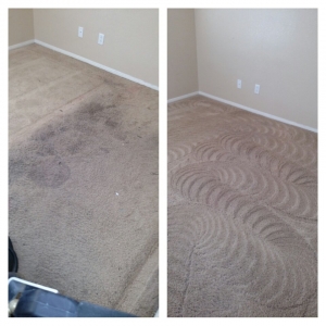 Photo of American Carpet Cleaning