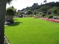 Photo of McKenzie Landscaping & Sweepmaster