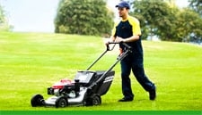 Photo of SUNGREEN Lawn Care and Landscaping