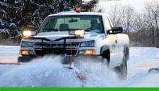 Photo of SUNGREEN Lawn Care and Landscaping