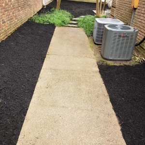 Photo of Go Green Cuts