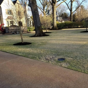 Photo of Go Green Cuts