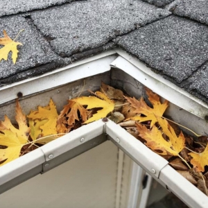 Killeen TexCen Property Services