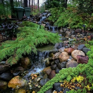 Photo of Aquatic Landscaping & Outdoor Design