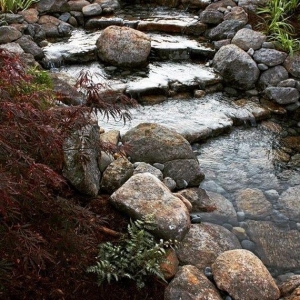 Photo of Aquatic Landscaping & Outdoor Design