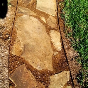 Photo of Aquatic Landscaping & Outdoor Design