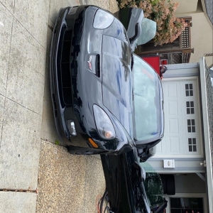 Photo of Auto Luxury Detail
