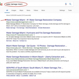 Photo of SEO Miami