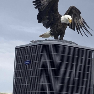 Photo of Classic Heating & Air Conditioning