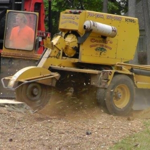 Photo of Craig's Quality Tree Service