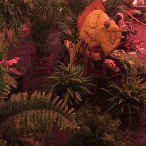 Photo of Southern Plant Designs