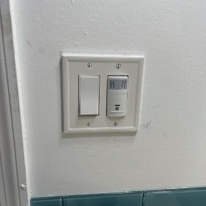 Photo of Daydream Electric