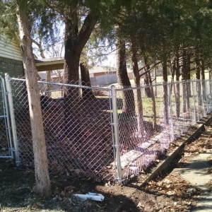 Photo of Wilson Fence
