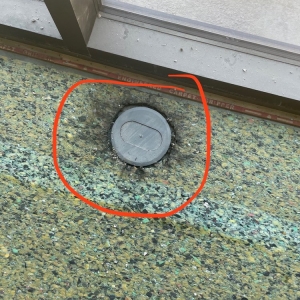 Photo of Mold Eliminators