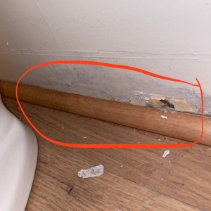 Photo of Mold Eliminators