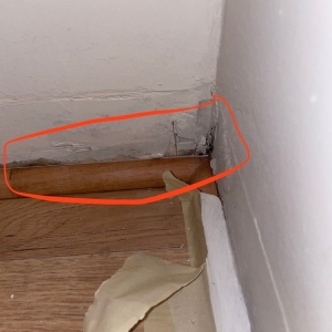 Photo of Mold Eliminators
