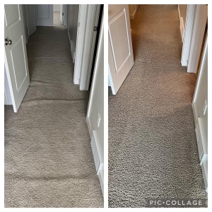 Photo of Green Solution organic carpet cleaning