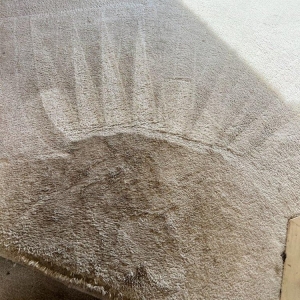 Photo of Green Solution organic carpet cleaning