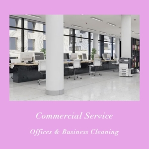 Photo of Perfect Cleaning Services