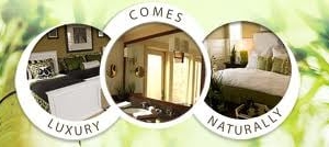 Photo of A Fresh Start Cleaning Service