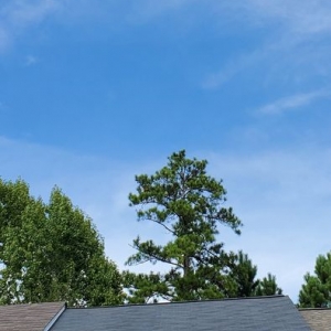 Photo of The Roof Clinic