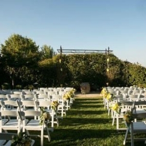 Photo of The Orchard