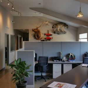 Photo of Premier Construction Services