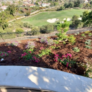 Photo of Urban Landcare - La Jolla Commercial & Residential Landscape
