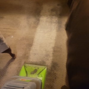 Photo of Oxi Fresh Carpet Cleaning