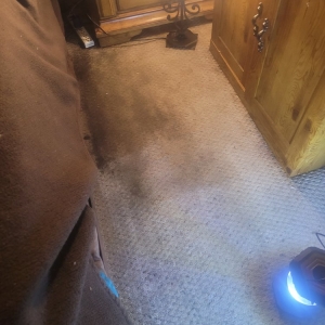 Photo of Oxi Fresh Carpet Cleaning