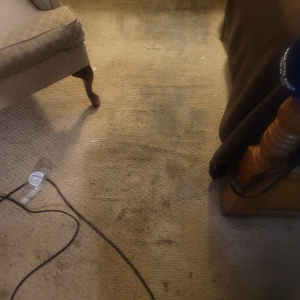 Photo of Oxi Fresh Carpet Cleaning