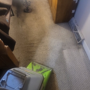 Photo of Oxi Fresh Carpet Cleaning