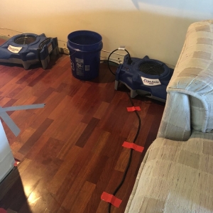 Photo of Service Max Cleaning & Restoration