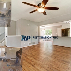 Photo of Restoration Pro