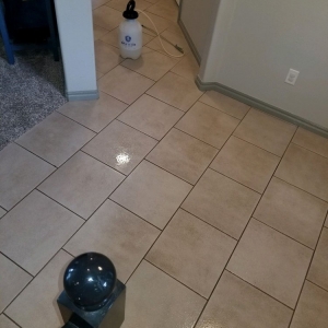 Photo of Watson & Sons Carpet and Tile Cleaning