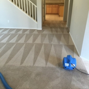 Photo of Lifetime Carpet & Tile Cleaning